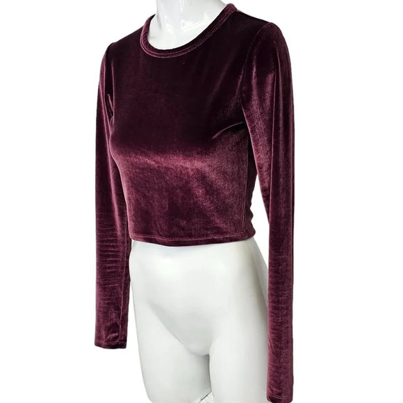 Aritzia Wilfred Free Velvet Long Sleeve Crop Top Size Small - Picture 2 of 7